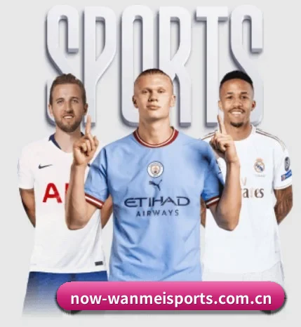 了解平台 - 体育资讯内容服务 - WMsports