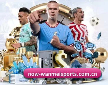 完美体育平台 APP - wmsports